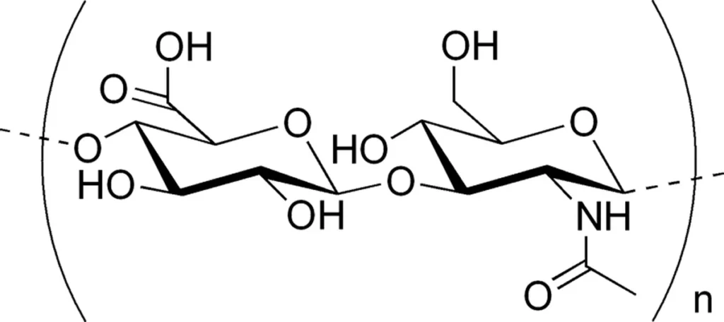 Hyaluronic acid molecule diagram on clean background